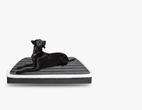 Shop Cozy Pet Beds & Mats at Toppetpalace – Comfort Your Pet Deserves