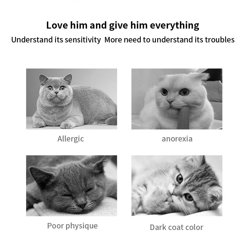 Pet Freeze-Dried Quail Egg yolk, Cat and Dog Hair Supplement, lecithin, lysine, Whole