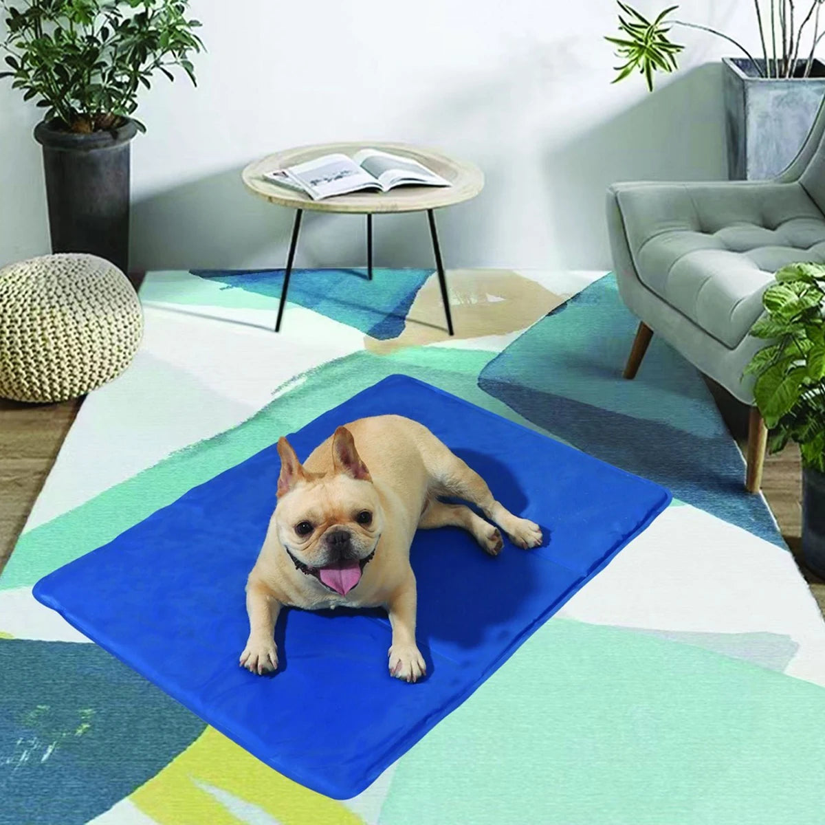 Gel-Filled Cooling Pad for Pets - Waterproof PVC Mat with Hot-Composite Edges, S/M/L (11.8-25.5in) Prevents Heatstroke