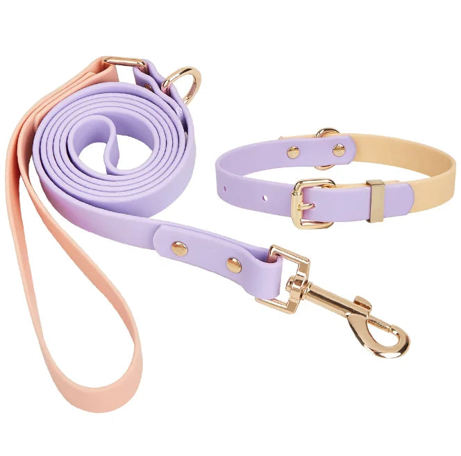 Multifunctional Waterproof  Strap Hands Free Accessories Pvc Cats   Dog Collar and Lead Set Rabbit accessories pet Dog leash
