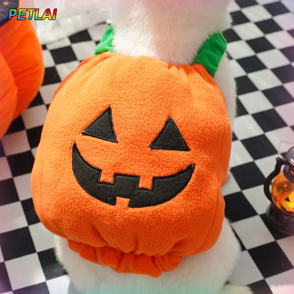 Dog devil pumpkin vest hat costume magic Pumpkin hat Halloween transformation outfits Funny Teddy Dog pet Clothes Christmas
