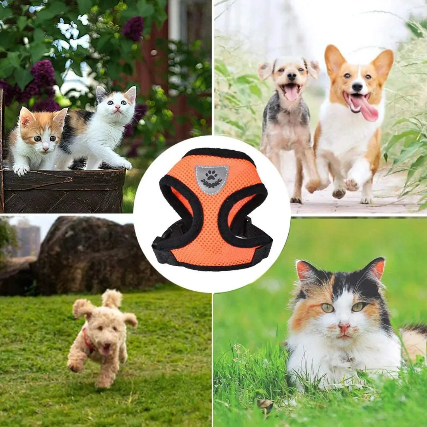 Nylon Mesh Cat Harness And Leash Breathable Kitten Cats Harnesses Small Dog Puppy Harness  French Bulldog Chihuahua Pug