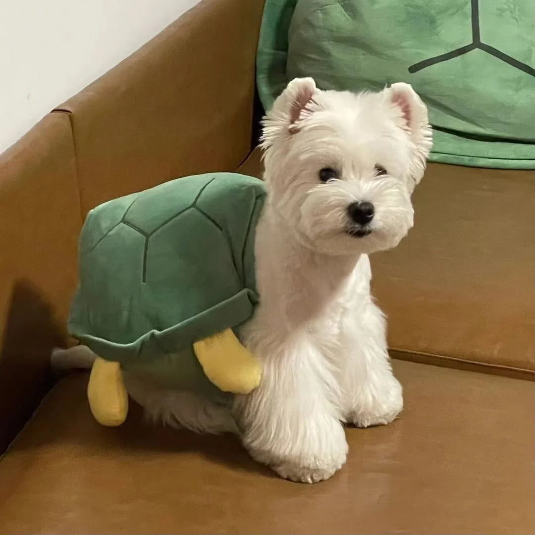Dog Turtle Shell Clothing Pet Autumn and Winter Small Dog Bears Teddy Bohemia Heights Koki Turtle Clothing Halloween Pet Costume