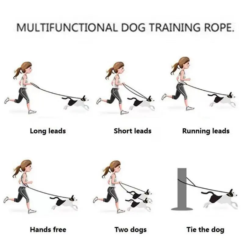 Dog Harness Set For Small Dogs No Pull For Medium Dogs Vest Harness With Lead Safety Collar Adjustable With Poop Bag Holder