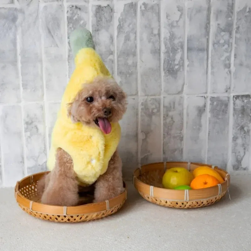 Pet Winter Banana Distressed Dress Halloween Dress, Warm Dog and Cat Teddy Bear, Pet Costumes, Plush Banana Coat, Puppy Costumes