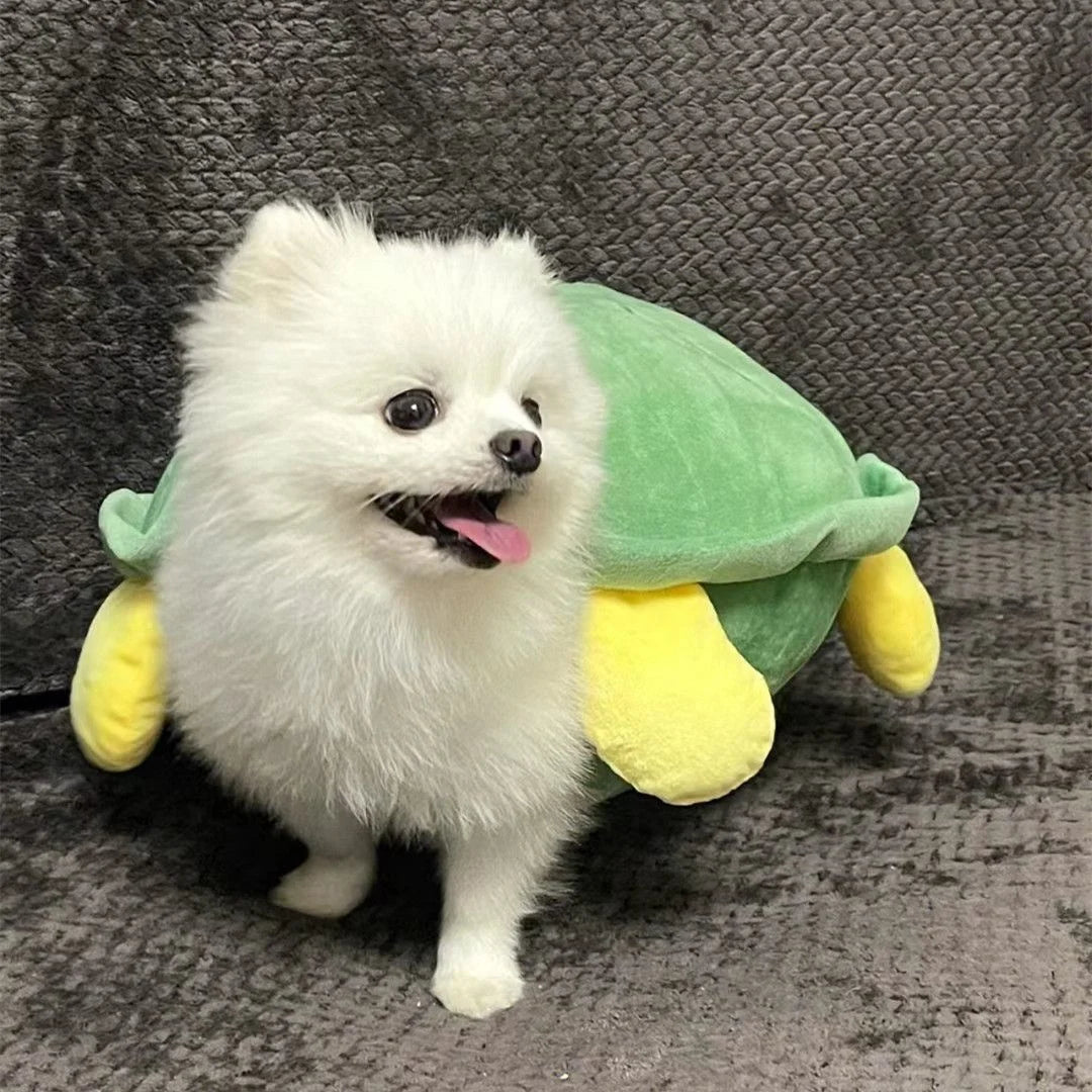 Dog Turtle Shell Clothing Pet Autumn and Winter Small Dog Bears Teddy Bohemia Heights Koki Turtle Clothing Halloween Pet Costume