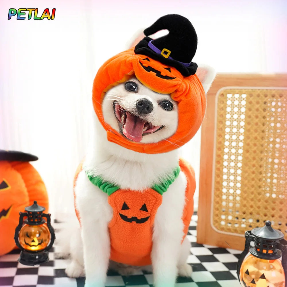 Dog devil pumpkin vest hat costume magic Pumpkin hat Halloween transformation outfits Funny Teddy Dog pet Clothes Christmas