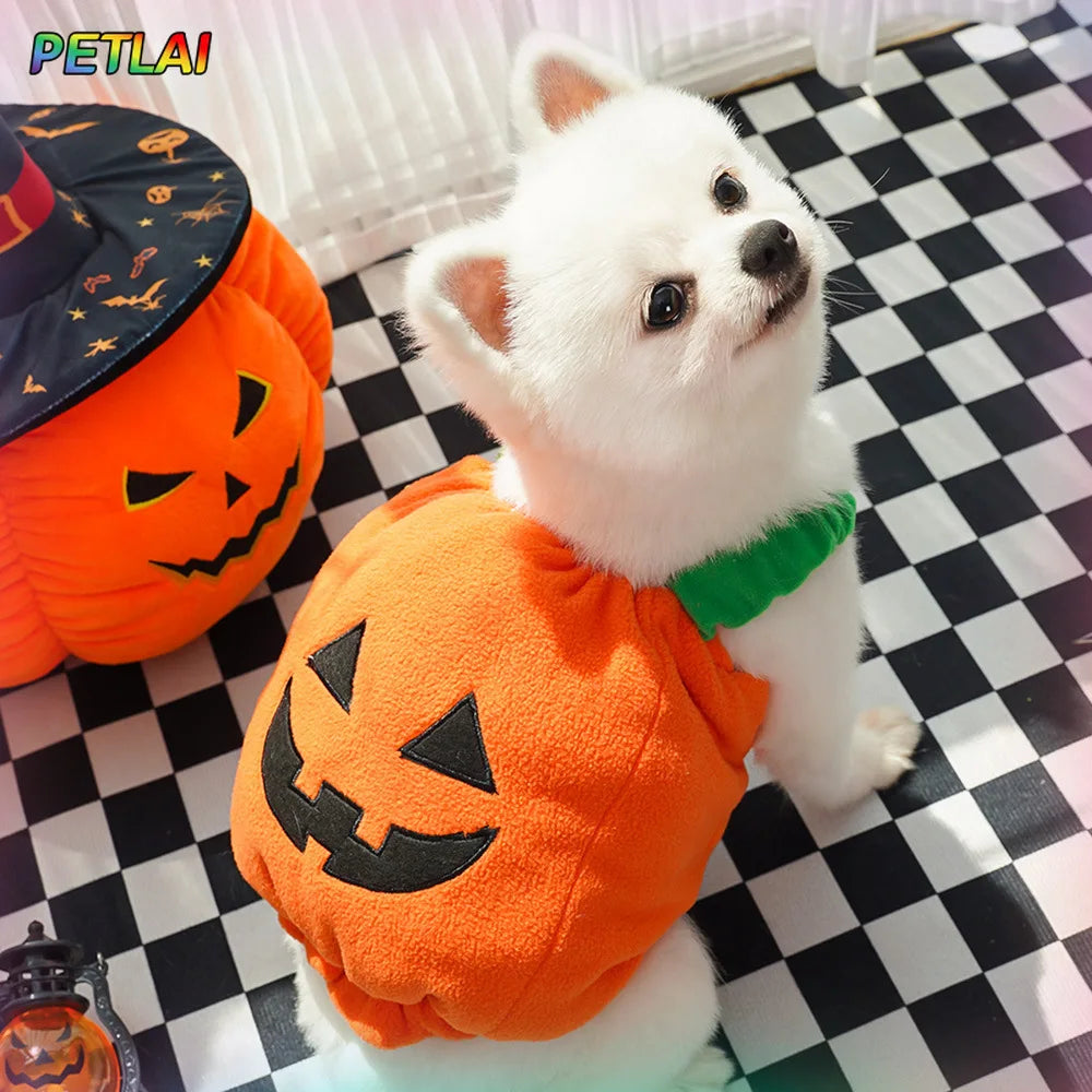 Dog devil pumpkin vest hat costume magic Pumpkin hat Halloween transformation outfits Funny Teddy Dog pet Clothes Christmas
