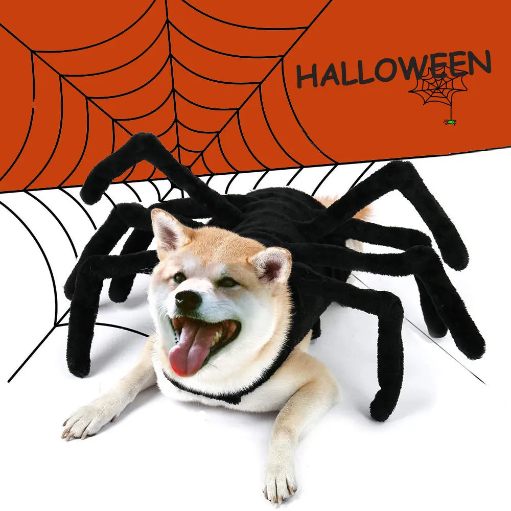 Halloween Black Spider Cosplay Costume Funny Spider Pet Costume Dress Up for Cat Small Medium Large Dogs Pet Accessories