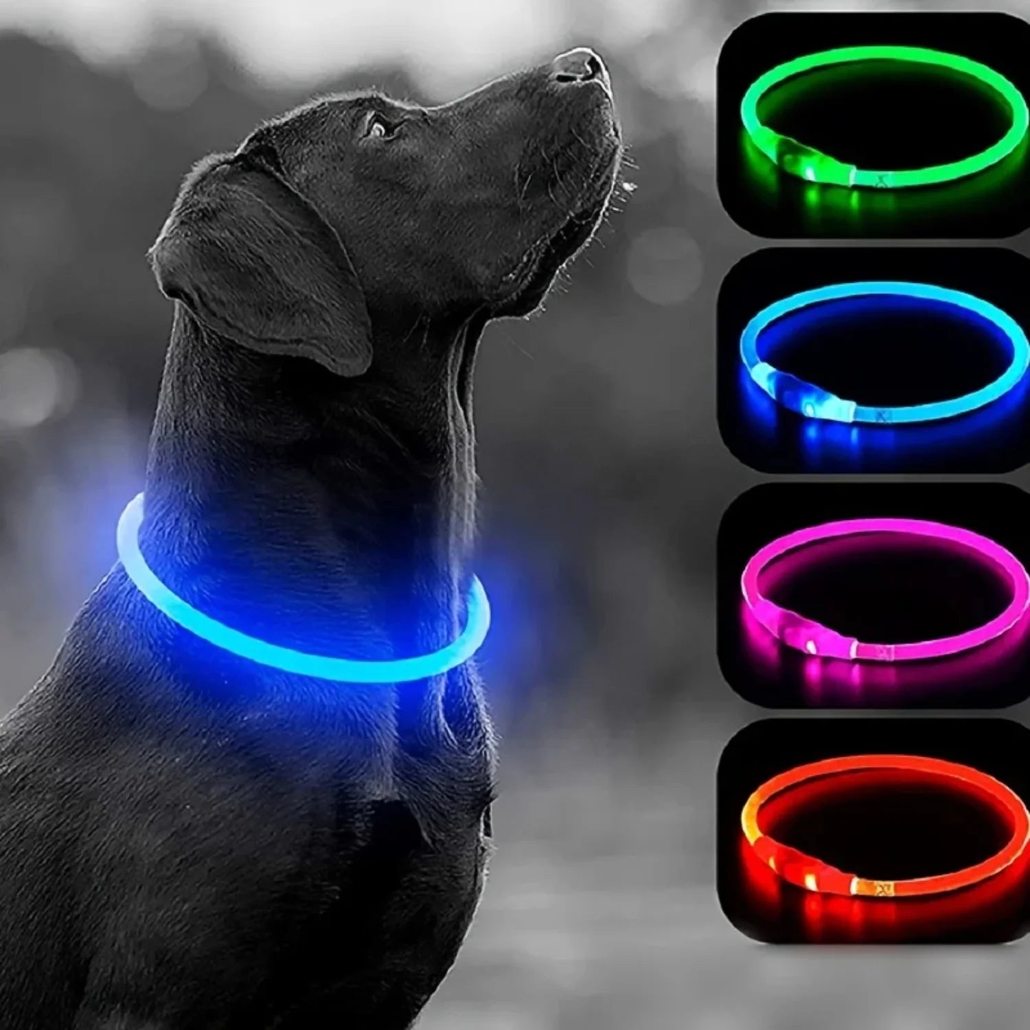 Dog glow collar bright, USB charging night safe, adjustable glow-in-the-dark collar for night walking Cat leash and harness Pets
