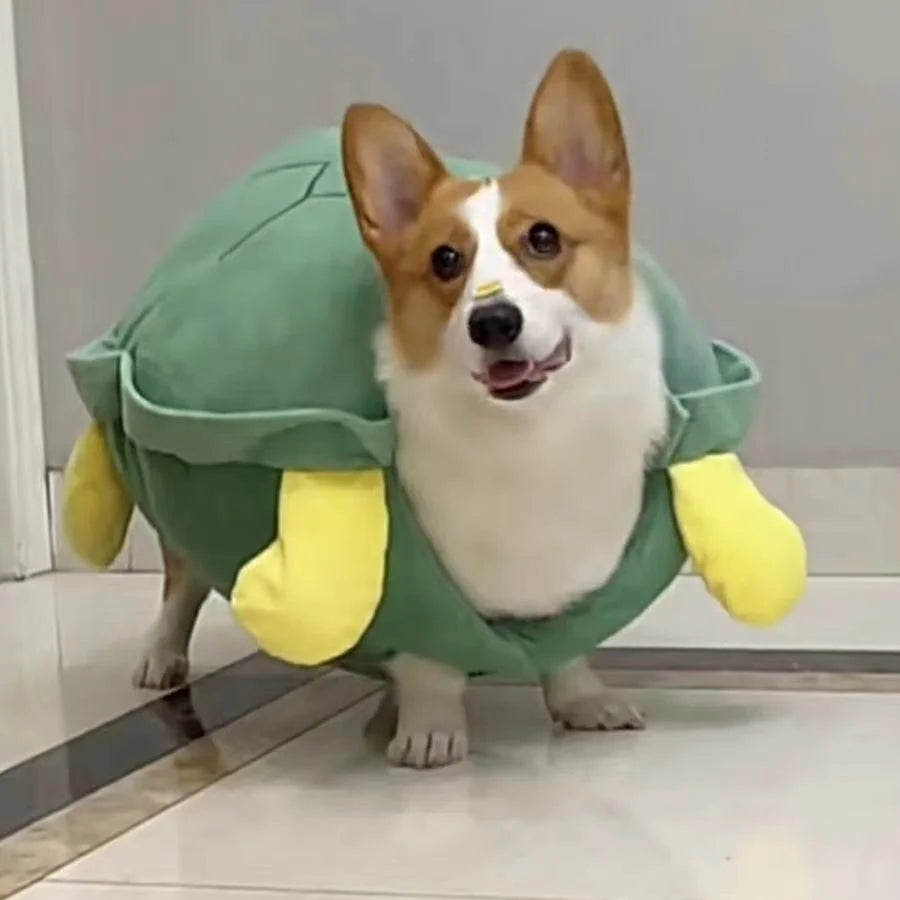 Dog Turtle Shell Clothing Pet Autumn and Winter Small Dog Bears Teddy Bohemia Heights Koki Turtle Clothing Halloween Pet Costume