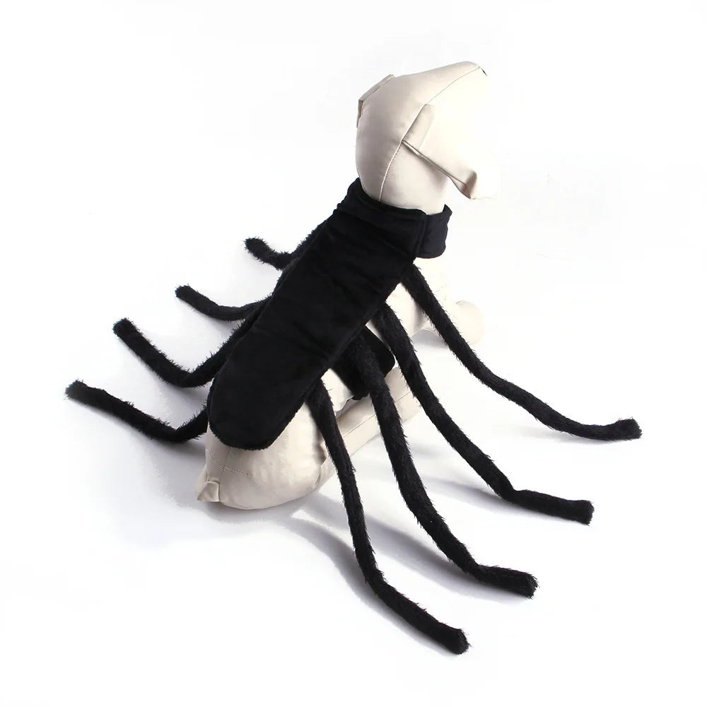 Halloween Black Spider Cosplay Costume Funny Spider Pet Costume Dress Up for Cat Small Medium Large Dogs Pet Accessories