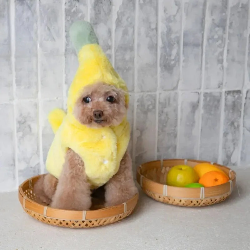 Pet Winter Banana Distressed Dress Halloween Dress, Warm Dog and Cat Teddy Bear, Pet Costumes, Plush Banana Coat, Puppy Costumes