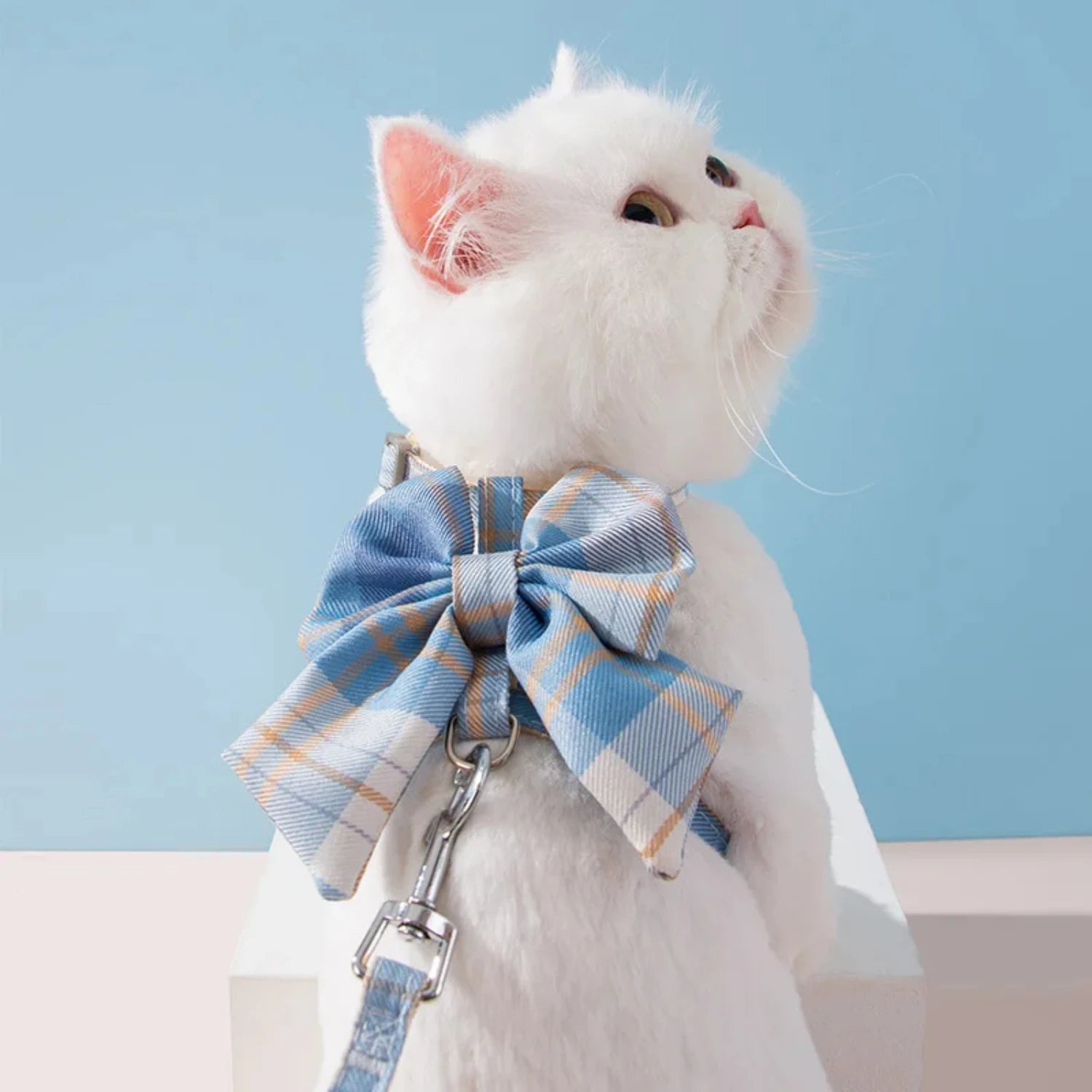 Cat Dog Collar Cute Pet Harness with Breast Strap Traction Rope Cat Clothes Harness Vest Princess Puppy Kitten Accessories