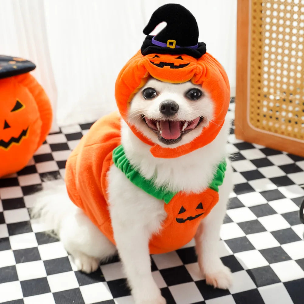 Halloween Pumpkin Hat for Dogs Cats Costumes Plush Pumpkin Decoration Pet Clothes Puppy Halloween Party Cosplay Dress Up Outfits