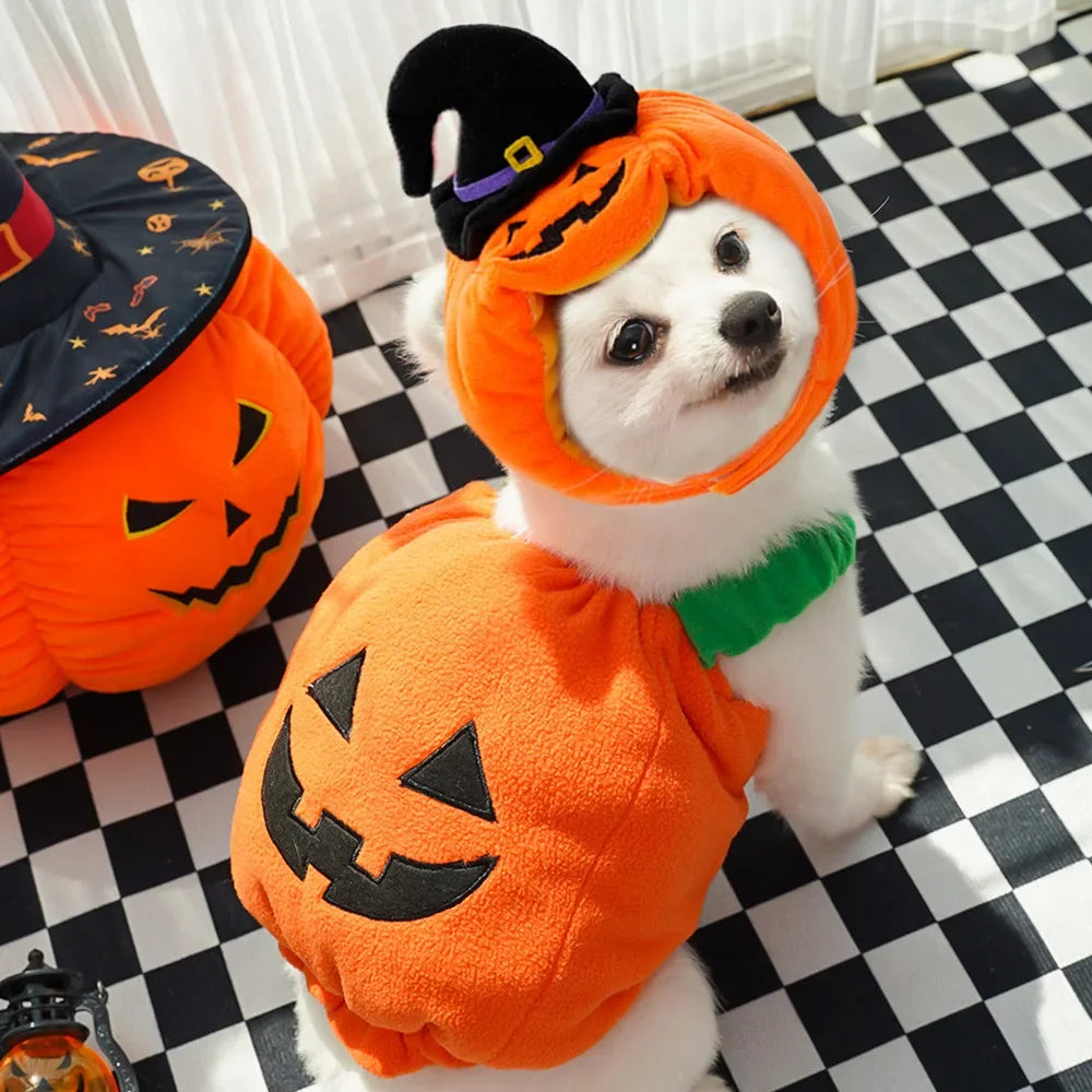 Halloween Pumpkin Hat for Dogs Cats Costumes Plush Pumpkin Decoration Pet Clothes Puppy Halloween Party Cosplay Dress Up Outfits
