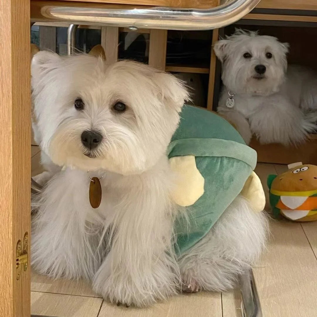 Dog Turtle Shell Clothing Pet Autumn and Winter Small Dog Bears Teddy Bohemia Heights Koki Turtle Clothing Halloween Pet Costume